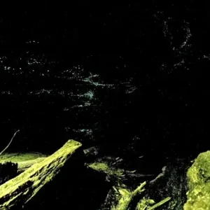 Dundee Adventure Travel | Wildscape Adventures | Blue Mountains Into the Wild Overnight Camping 4WD Off Road Wilderness Adventure + River cruise Wollemi-4WD-Glow-Worm-Tunnel