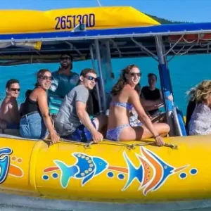 Dundee Adventure Travel | Southern Lights Tour with Tropical Lunch accom