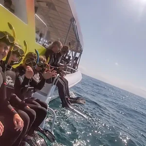 Dundee Adventure Travel | Swim with Humpback Whales body-11