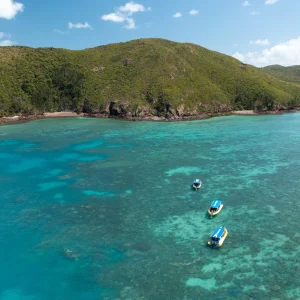 Healthy coral gardens in Whitsunday Islands