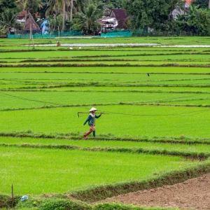 etienne-girardet-vcu3iZIGkXI-unsplash