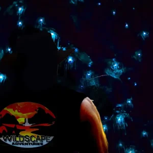 Dundee Adventure Travel | Wildscape Adventures | Blue Mountains Into the Wild Overnight Camping 4WD Off Road Wilderness Adventure + River cruise glow-worms-logo-mysel