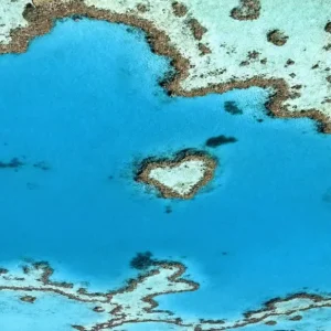 Dundee Adventure Travel | Helireef Whitsunday | Fly and Cruise Whitsunday Tour greatbarrierreeftours