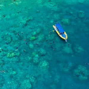 Snorkellers exploring coral reef near Hamilton Island