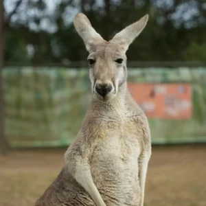 jerry-shen-xQWIiNdPxWY-unsplash