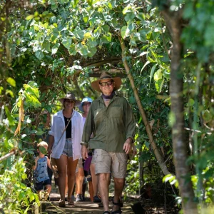 Expert-led wildlife tour