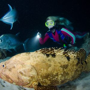 night-diving-great-barrier-reef-liveaboard