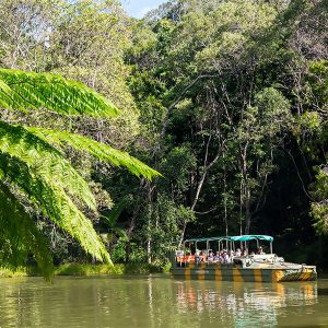 private-kuranda-tour-army-duck-rainforestation