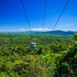 private-tour-with-skyrail-rainforest-cableway