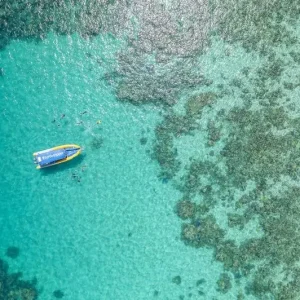Dundee Adventure Travel | Great Barrier Reef Morning Tour – Ocean Safari prn4biOy