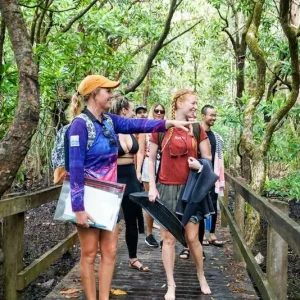 Dundee Adventure Travel | Great Barrier Reef Morning Tour – Ocean Safari sghixppQ