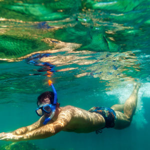 snorkel-at-moreton-island-uai-1080x540