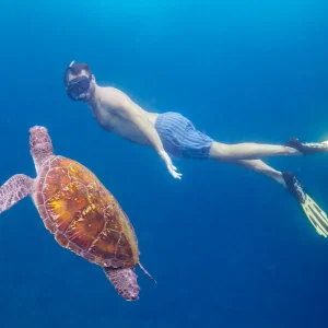 Dundee Adventure Travel | Heart Reef Escapade snorkelling-swim-with-turtle-uai-1706x1706