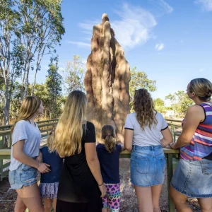 magnetic termite mounds northern territory