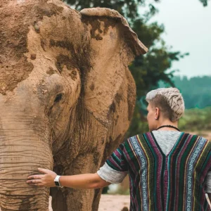 Enjoy the company of Thailand's elephants during the Thai Intro 18 Days tour