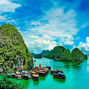 Ha Long Bay boats on Vietnam Intro 12 Days tour