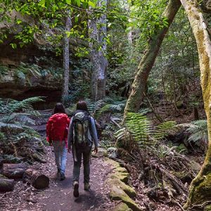 walk-grand-canyon-track