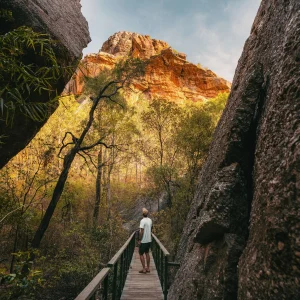 way to the kakadu aboriginal rock art nourlangie. Join the kakadu litchfield top end camping tour