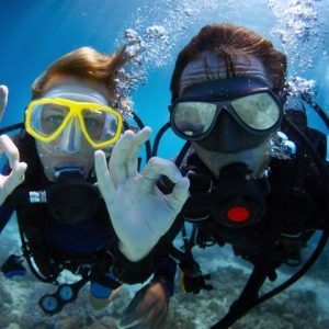 whitsundays-sailing-adventures-new-horizon-diving-1-uai-480x480