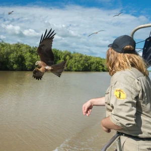 wildlife Adelaide River crocodile cruise