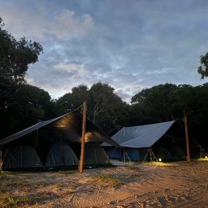z_Dingos_Kgari_Adventures1